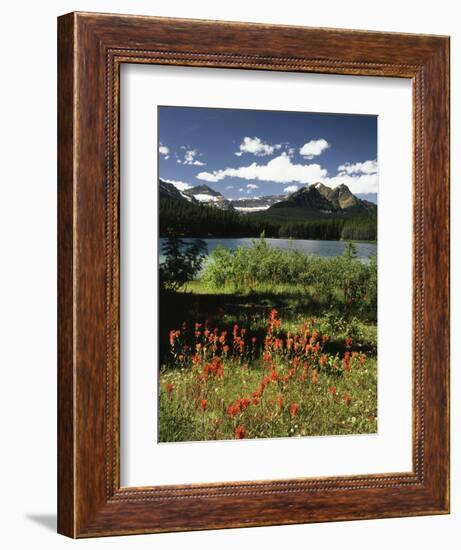 Canada, Alberta, Banff NP, Indian Paintbrush Wildflowers and a Lake-Christopher Talbot Frank-Framed Photographic Print