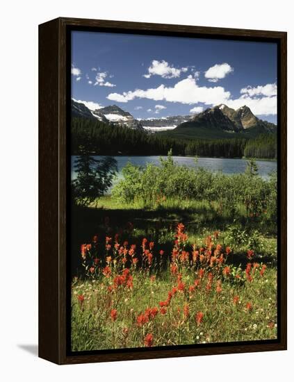 Canada, Alberta, Banff NP, Indian Paintbrush Wildflowers and a Lake-Christopher Talbot Frank-Framed Premier Image Canvas