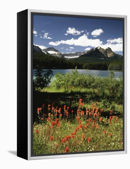 Canada, Alberta, Banff NP, Indian Paintbrush Wildflowers and a Lake-Christopher Talbot Frank-Framed Premier Image Canvas