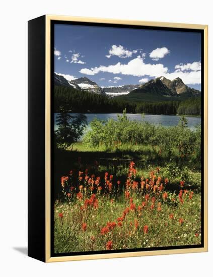 Canada, Alberta, Banff NP, Indian Paintbrush Wildflowers and a Lake-Christopher Talbot Frank-Framed Premier Image Canvas