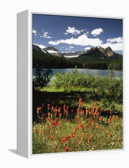 Canada, Alberta, Banff NP, Indian Paintbrush Wildflowers and a Lake-Christopher Talbot Frank-Framed Premier Image Canvas