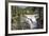 Canada, Alberta, Jasper National Park, Athabasca Falls-Jamie & Judy Wild-Framed Photographic Print