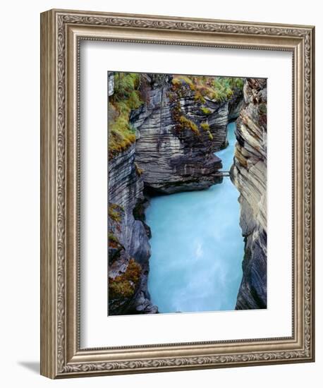 Canada, Alberta, Jasper National Park, Athabasca River Has Cut a Deep Limestone Gorge-John Barger-Framed Premium Photographic Print