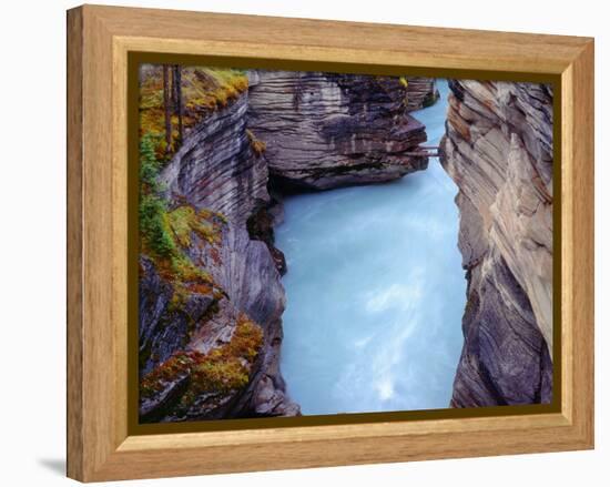 Canada, Alberta, Jasper National Park, Athabasca River Has Cut a Deep Limestone Gorge-John Barger-Framed Premier Image Canvas