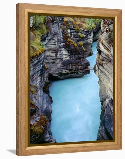 Canada, Alberta, Jasper National Park, Athabasca River Has Cut a Deep Limestone Gorge-John Barger-Framed Premier Image Canvas
