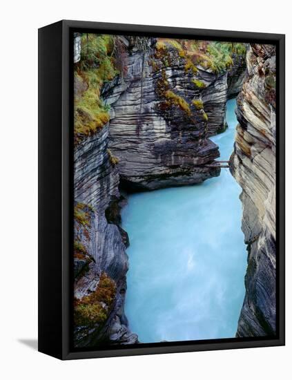 Canada, Alberta, Jasper National Park, Athabasca River Has Cut a Deep Limestone Gorge-John Barger-Framed Premier Image Canvas