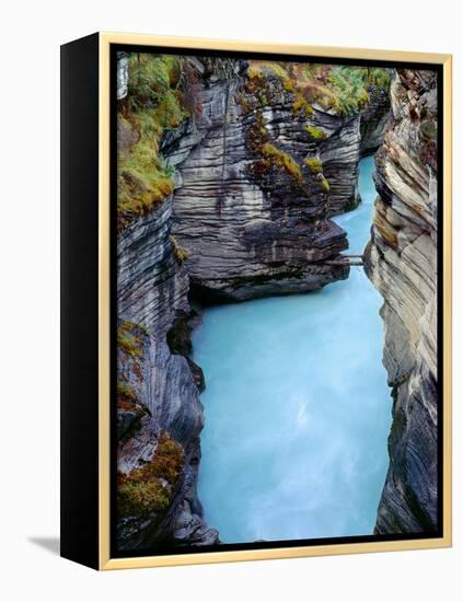 Canada, Alberta, Jasper National Park, Athabasca River Has Cut a Deep Limestone Gorge-John Barger-Framed Premier Image Canvas