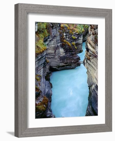 Canada, Alberta, Jasper National Park, Athabasca River Has Cut a Deep Limestone Gorge-John Barger-Framed Photographic Print