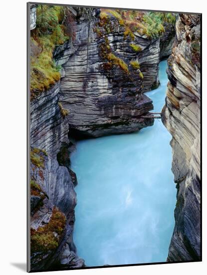 Canada, Alberta, Jasper National Park, Athabasca River Has Cut a Deep Limestone Gorge-John Barger-Mounted Photographic Print