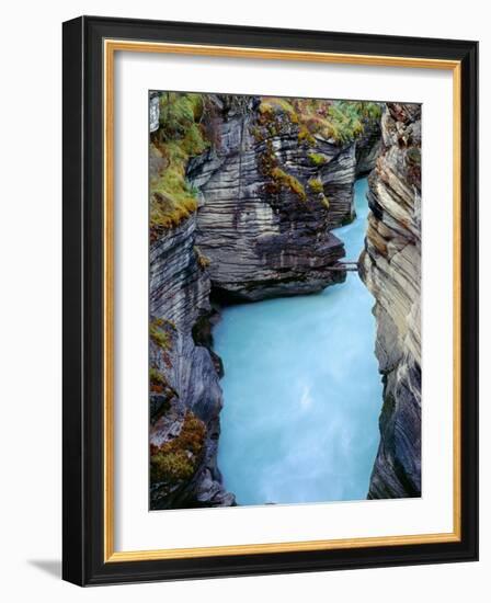 Canada, Alberta, Jasper National Park, Athabasca River Has Cut a Deep Limestone Gorge-John Barger-Framed Photographic Print