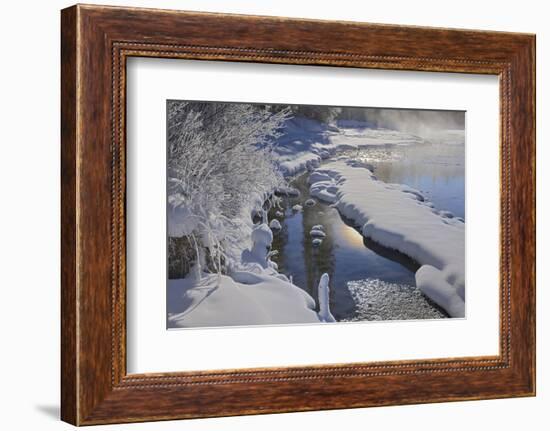 Canada, Alberta, Jasper National Park. Athabasca River in winter.-Jaynes Gallery-Framed Photographic Print