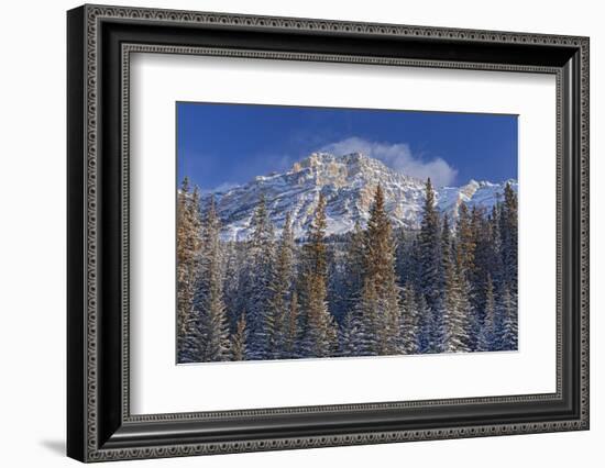 Canada, Alberta, Jasper National Park. Mount Kerkeslin in Canadian Rocky Mountains.-Jaynes Gallery-Framed Photographic Print