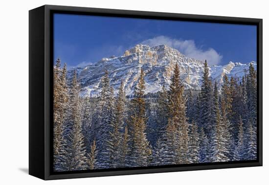 Canada, Alberta, Jasper National Park. Mount Kerkeslin in Canadian Rocky Mountains.-Jaynes Gallery-Framed Premier Image Canvas