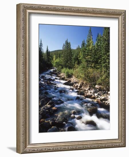 Canada, Alberta, Mountain Stream in Jasper National Park-Mike Grandmaison-Framed Photographic Print