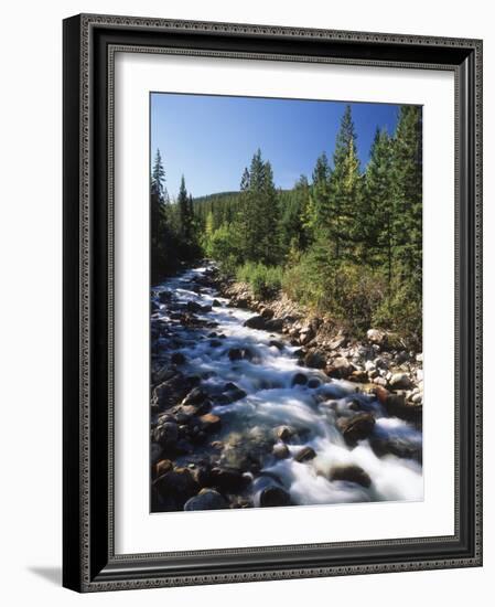 Canada, Alberta, Mountain Stream in Jasper National Park-Mike Grandmaison-Framed Photographic Print