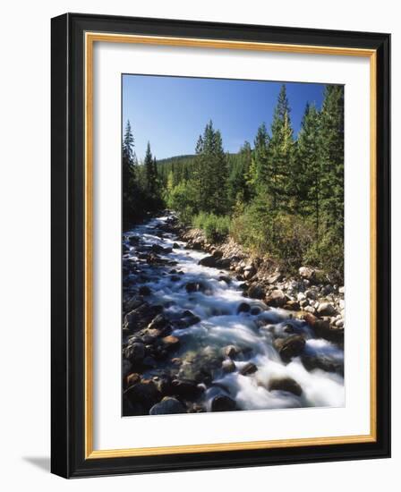 Canada, Alberta, Mountain Stream in Jasper National Park-Mike Grandmaison-Framed Photographic Print