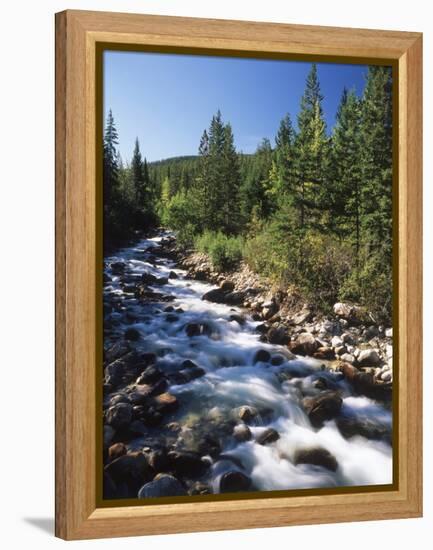 Canada, Alberta, Mountain Stream in Jasper National Park-Mike Grandmaison-Framed Premier Image Canvas