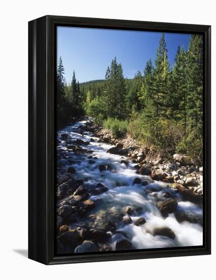 Canada, Alberta, Mountain Stream in Jasper National Park-Mike Grandmaison-Framed Premier Image Canvas