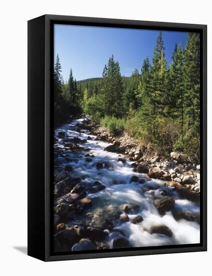 Canada, Alberta, Mountain Stream in Jasper National Park-Mike Grandmaison-Framed Premier Image Canvas