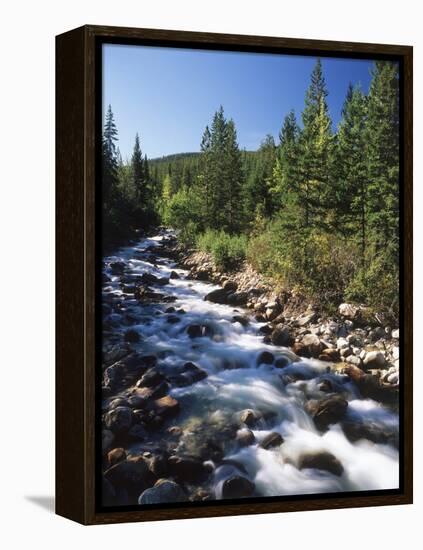 Canada, Alberta, Mountain Stream in Jasper National Park-Mike Grandmaison-Framed Premier Image Canvas
