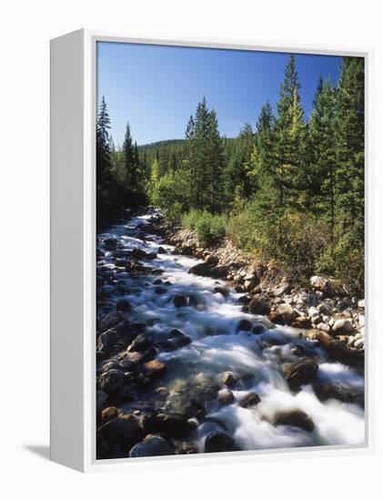 Canada, Alberta, Mountain Stream in Jasper National Park-Mike Grandmaison-Framed Premier Image Canvas