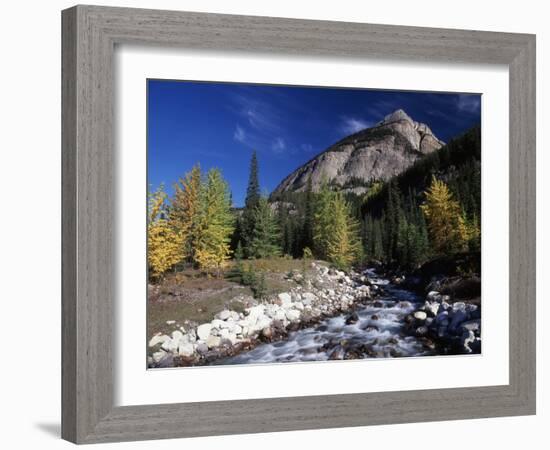 Canada, Alberta, Rampart Creek at Banff National Park-Mike Grandmaison-Framed Photographic Print