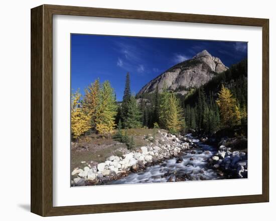 Canada, Alberta, Rampart Creek at Banff National Park-Mike Grandmaison-Framed Photographic Print