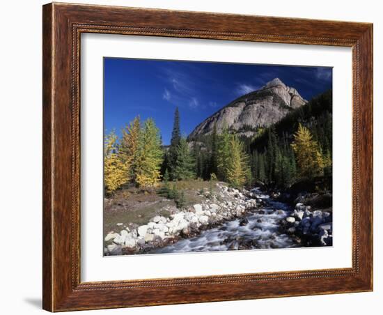 Canada, Alberta, Rampart Creek at Banff National Park-Mike Grandmaison-Framed Photographic Print