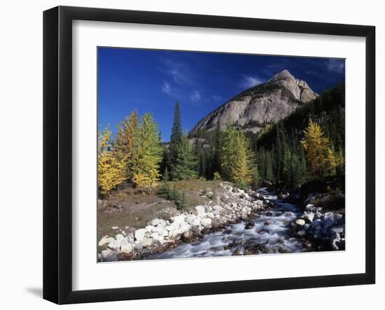 Canada, Alberta, Rampart Creek at Banff National Park-Mike Grandmaison-Framed Photographic Print