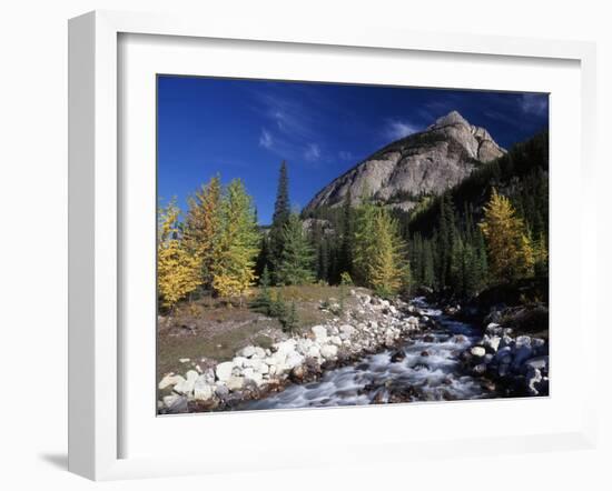 Canada, Alberta, Rampart Creek at Banff National Park-Mike Grandmaison-Framed Photographic Print