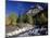 Canada, Alberta, Rampart Creek at Banff National Park-Mike Grandmaison-Mounted Photographic Print