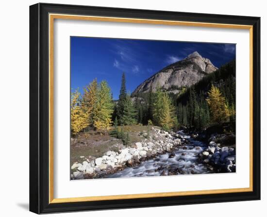 Canada, Alberta, Rampart Creek at Banff National Park-Mike Grandmaison-Framed Photographic Print
