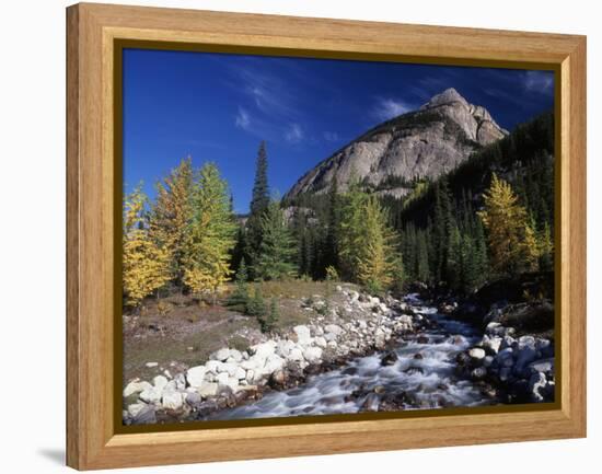 Canada, Alberta, Rampart Creek at Banff National Park-Mike Grandmaison-Framed Premier Image Canvas