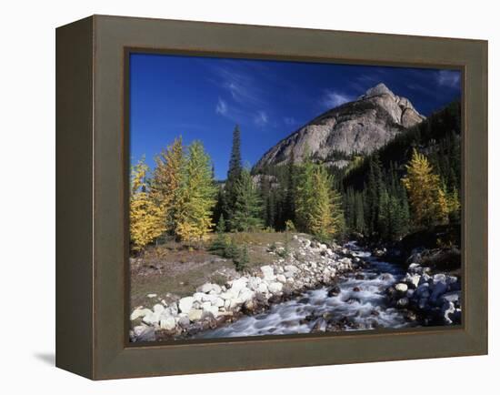 Canada, Alberta, Rampart Creek at Banff National Park-Mike Grandmaison-Framed Premier Image Canvas