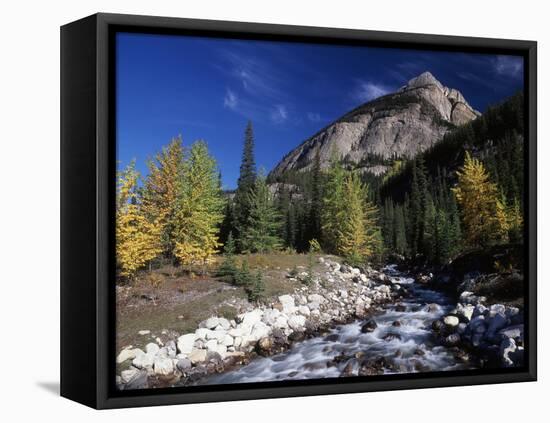 Canada, Alberta, Rampart Creek at Banff National Park-Mike Grandmaison-Framed Premier Image Canvas