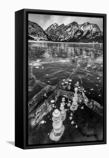 Canada, Alberta, Spray Valley Provincial Park. Frozen methane bubbles in Spray Lakes-Ann Collins-Framed Premier Image Canvas