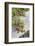 Canada, B.C., Gulf Islands, Portland Island. Wild Blackberries and Log-Kevin Oke-Framed Photographic Print