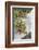 Canada, B.C., Gulf Islands, Portland Island. Wild Blackberries and Log-Kevin Oke-Framed Photographic Print