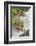 Canada, B.C., Gulf Islands, Portland Island. Wild Blackberries and Log-Kevin Oke-Framed Photographic Print