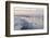 Canada, B.C, Sidney Island. Gulls at Sunset, Gulf Islands National Park Reserve-Kevin Oke-Framed Photographic Print