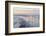 Canada, B.C, Sidney Island. Gulls at Sunset, Gulf Islands National Park Reserve-Kevin Oke-Framed Photographic Print