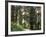 Canada, B.C., Sitka Spruce Forest at Exchamsiks River Provincial Park-Mike Grandmaison-Framed Photographic Print