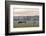 Canada, B.C., Vancouver Island, Cowichan Valley. Cows at a Dairy Farm-Kevin Oke-Framed Photographic Print