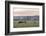 Canada, B.C., Vancouver Island, Cowichan Valley. Cows at a Dairy Farm-Kevin Oke-Framed Photographic Print