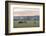 Canada, B.C., Vancouver Island, Cowichan Valley. Cows at a Dairy Farm-Kevin Oke-Framed Photographic Print