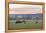 Canada, B.C., Vancouver Island, Cowichan Valley. Cows at a Dairy Farm-Kevin Oke-Framed Premier Image Canvas