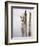 Canada, B.C, Vancouver Island. Great Blue Heron on an Old Piling-Kevin Oke-Framed Photographic Print