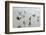 Canada, B.C, Vancouver Island. Gulls Flying on Florencia Beach-Kevin Oke-Framed Photographic Print