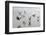 Canada, B.C, Vancouver Island. Gulls Flying on Florencia Beach-Kevin Oke-Framed Photographic Print