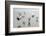 Canada, B.C, Vancouver Island. Gulls Flying on Florencia Beach-Kevin Oke-Framed Photographic Print